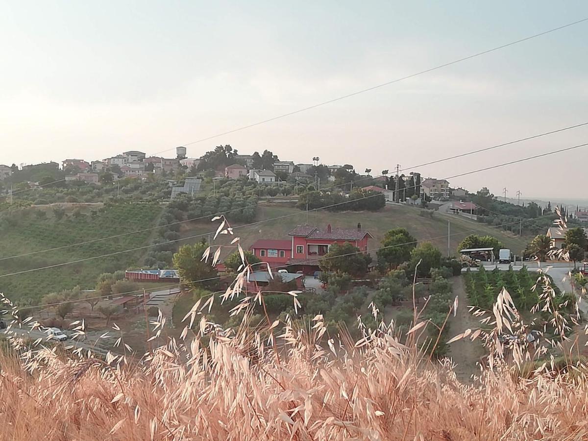 B&B Gli Amici Del Tubarello Roseto Degli Abruzzi Buitenkant foto