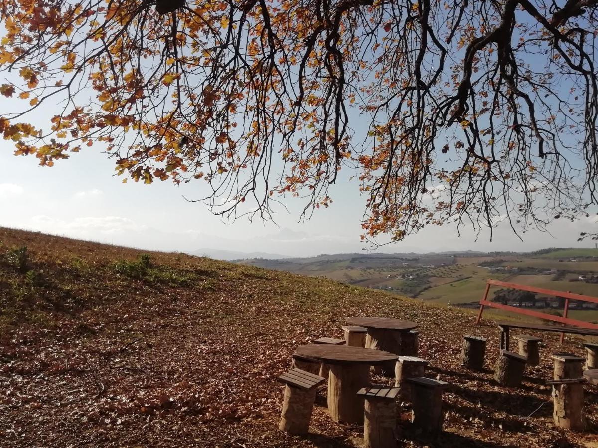 B&B Gli Amici Del Tubarello Roseto Degli Abruzzi Buitenkant foto