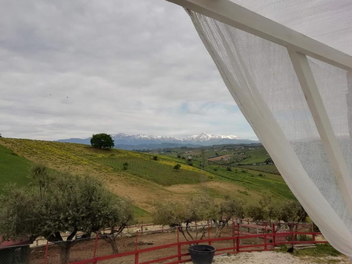 B&B Gli Amici Del Tubarello Roseto Degli Abruzzi Buitenkant foto