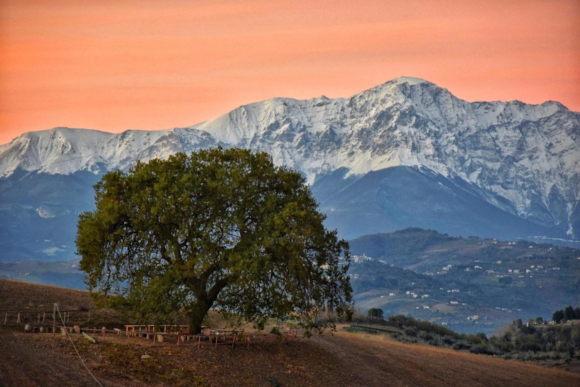 B&B Gli Amici Del Tubarello Roseto Degli Abruzzi Buitenkant foto